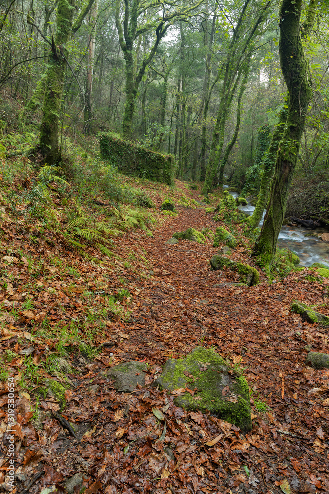 Trail along the Fraga River Trail along the Fraga River