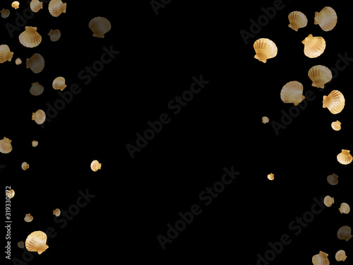Gold seashells isolated, pearl bivalved mollusks