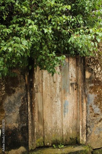 Portão envelhecido coberto de folhas
