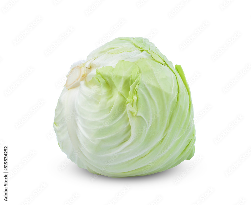 Cabbage (Brassica oleracea var) isolated on white background Cabbage (Brassica oleracea var) isolated on white background