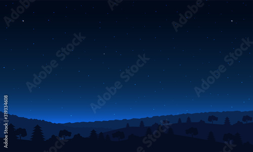 Night sky landsacape. Forest at night and star on sky.