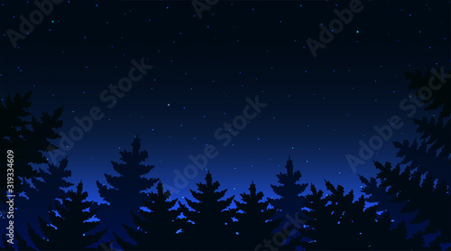 Night sky landsacape. Forest at night and star on sky.