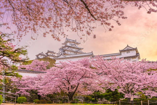 Himeji, Japan at Himeji Castle in Spring photo