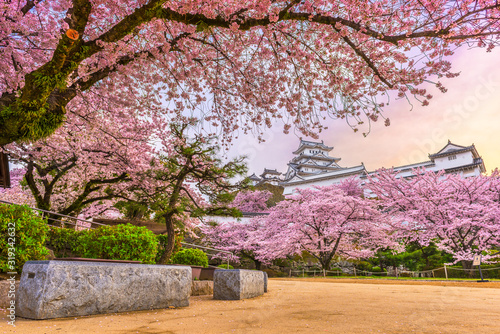 Himeji, Japan at Himeji Castle in Spring photo