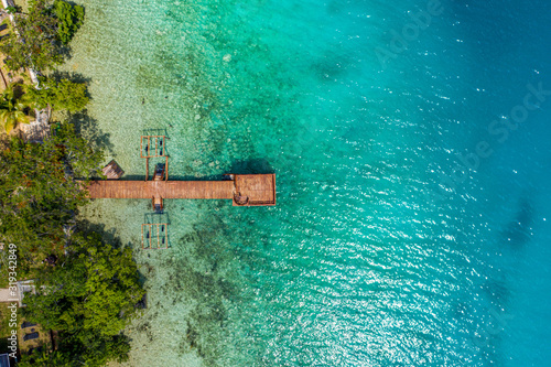 Aerial top view of an idyllic beach in the caribbean with some vegetation and a wooden pier in a summer sunny day. Relaxed atmosphere in the paradise. Luxurius view of a landscape similar to Maldives.