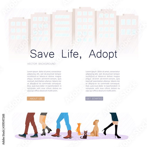 Homeless cat between feet