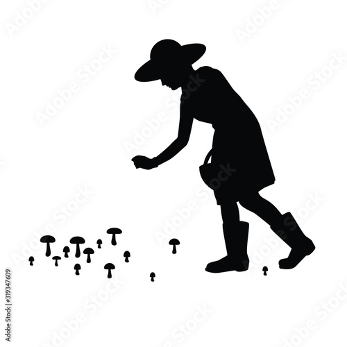 Girl is collecting mushroom silhouette vector