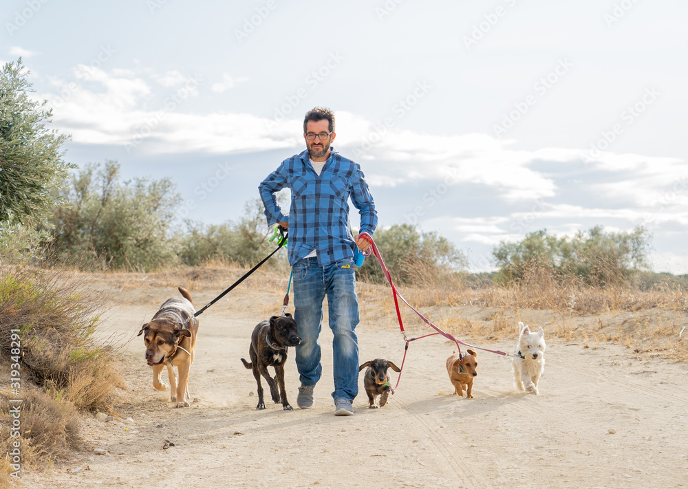 Smiling professional dog walker with dogs on leash on a walk in the city