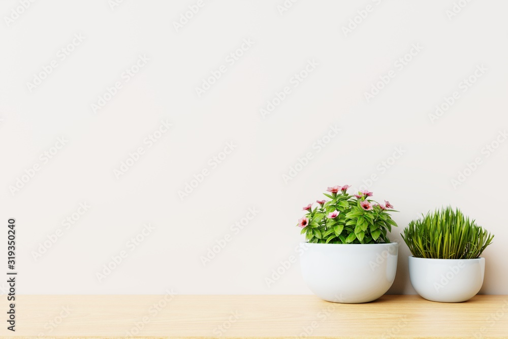 Modern empty room with plants on floor wooden,white wall. Modern empty room with plants on floor wooden,white wall.