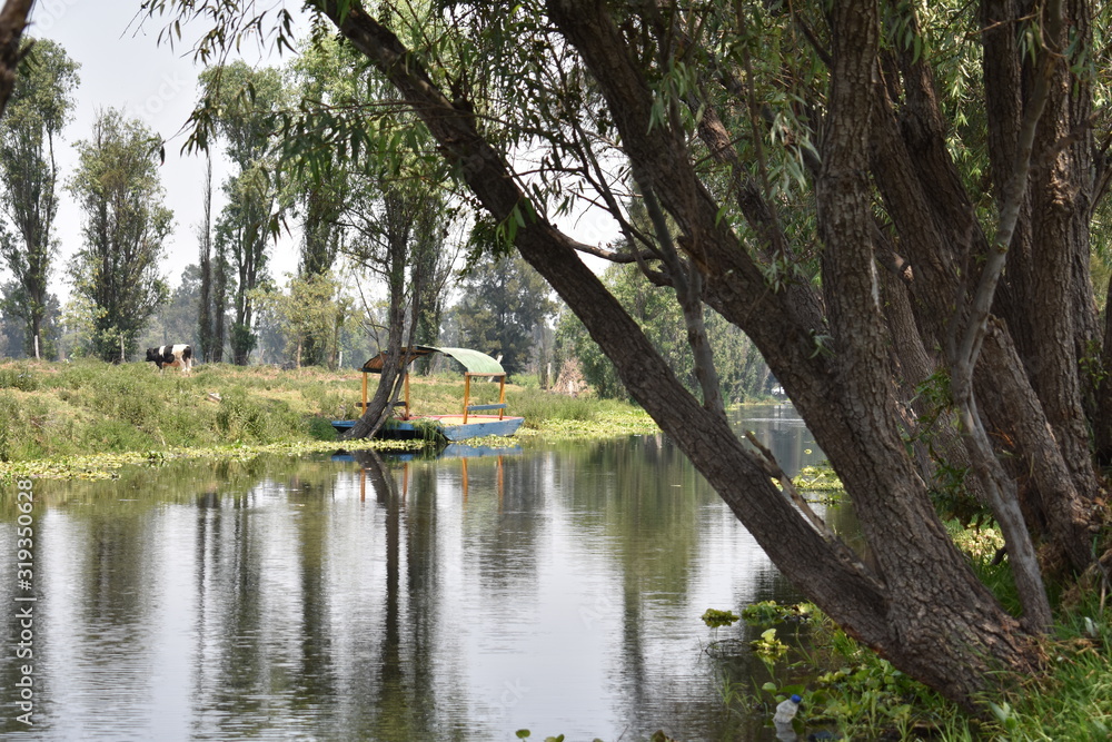 Trajinera en Xochimilco Trajinera en Xochimilco
