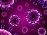 Microscopic view of the coronavirus which can be transmitted from person to person. There is a coronavirus outbreak which affects health, 3d rendering.
