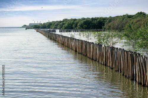 wood prevents the coast from breaking down the sea wave 