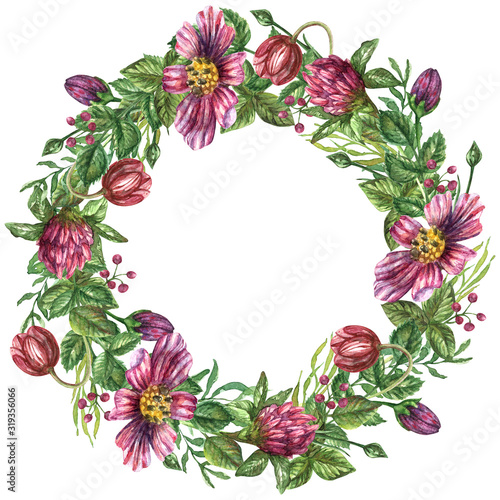 Watercolor wreath of wildflowers (chamomile, dog rose, clover) and leaves and herbs