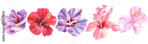 Set of watercolor flower, hibiscus flower, hand drawn jungle illustration. Stock illustration, wedding invitations, greeting cards, postcards, save the date.