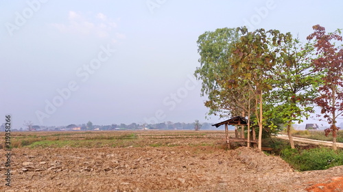  Natural scenery each morning. After the farmer has finished harvesting. Royalty-free stock photograph. 