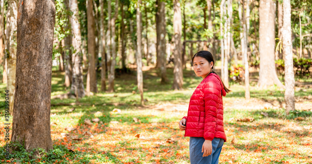 The girl is watching the flowers falling from the Butea monosperma tree. The girl is watching the flowers falling from the Butea monosperma tree.