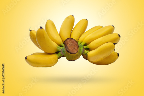 Bunch of yellow banana or Pisang Mas isolated on gradients yellow and white background with clipping path