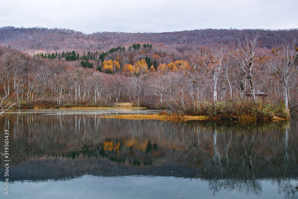 月山の麓にある地蔵沼にて(日本の山形県) 月山の麓にある地蔵沼にて(日本の山形県)