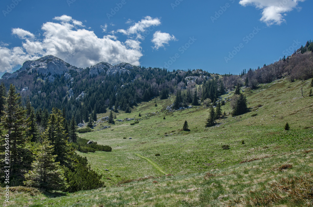 View of mountain valley during sunny weather in Velebit mountains, Northern Velebit National Park, Croatia