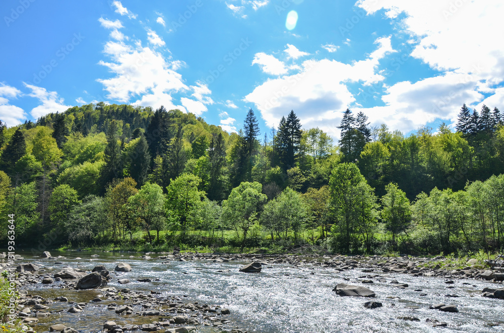 View of mountain wild river in Carpathian mountains during sunny summer day, Ukraine. Small river in the forest. View of mountain wild river in Carpathian mountains during sunny summer day, Ukraine. Small river in the forest.