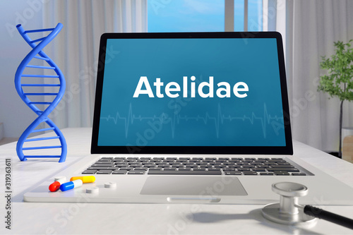Atelidae – Medicine/health. Computer in the office with term on the screen. Science/healthcare