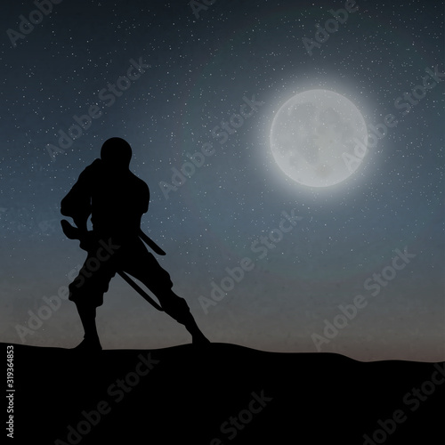 A Japanese Ninja Under The Moonlight
