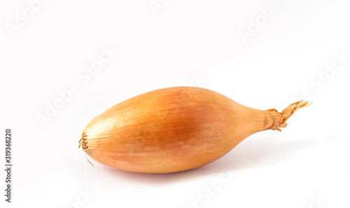 One shallot onion on a white background photo