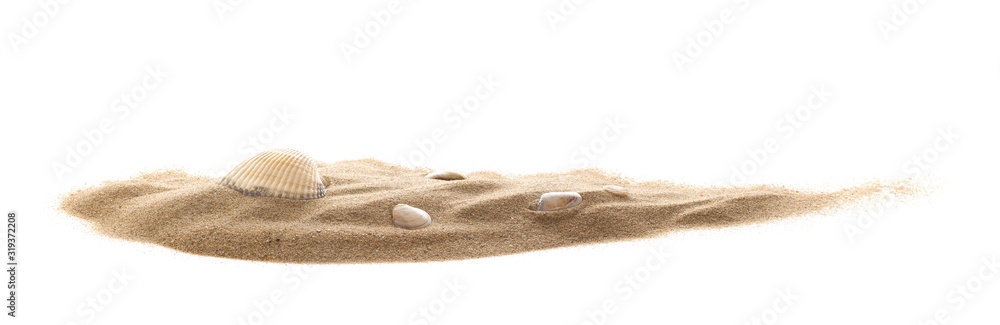Isolated seashell on sand, white background Isolated seashell on sand, white background