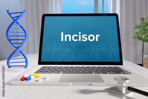 Incisor– Medicine/health. Computer in the office with term on the screen. Science/healthcare