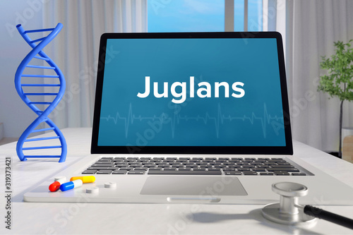 Juglans– Medicine/health. Computer in the office with term on the screen. Science/healthcare
