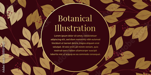 Botanical Illustration