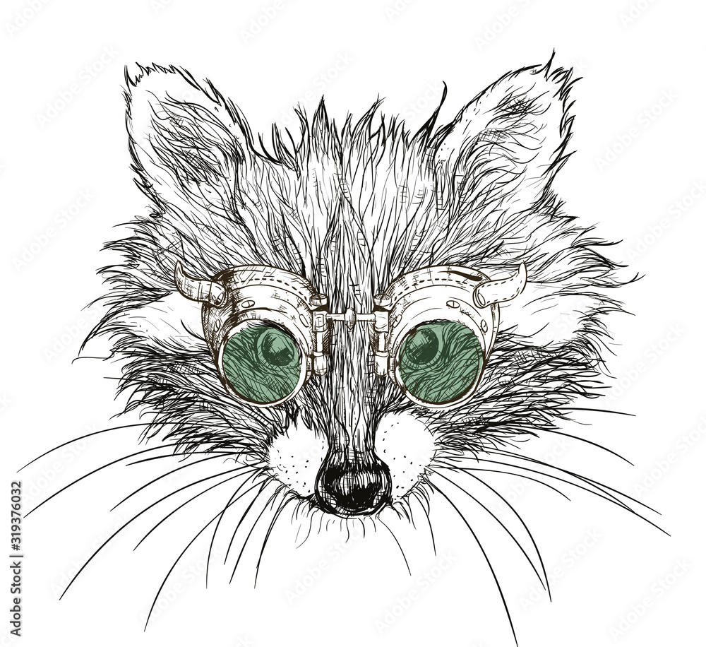 Fototapeta hand drawn raccoon steampunk. Sketch style illustration.