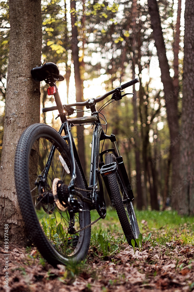 Naklejka premium mountain bike in the forest