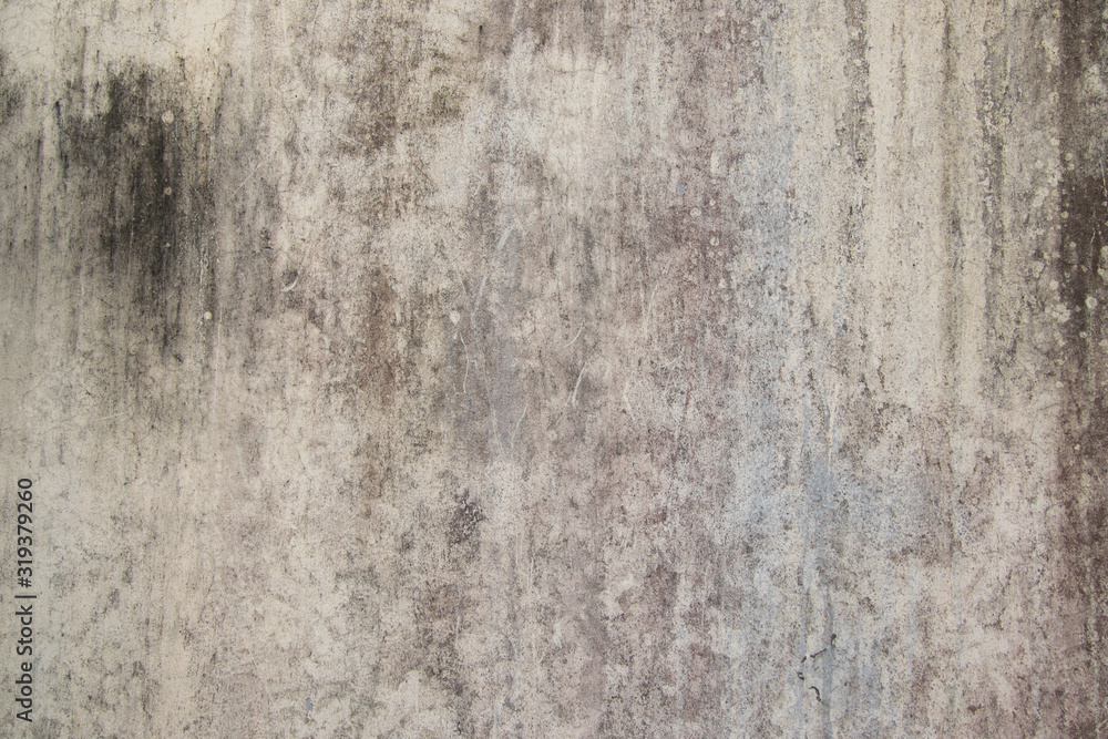 Abstract,Texture of old concrete wall,Grey Cement textured abstract background,old wall with lichen,Dirty white wall background close up moss texture on cement wall