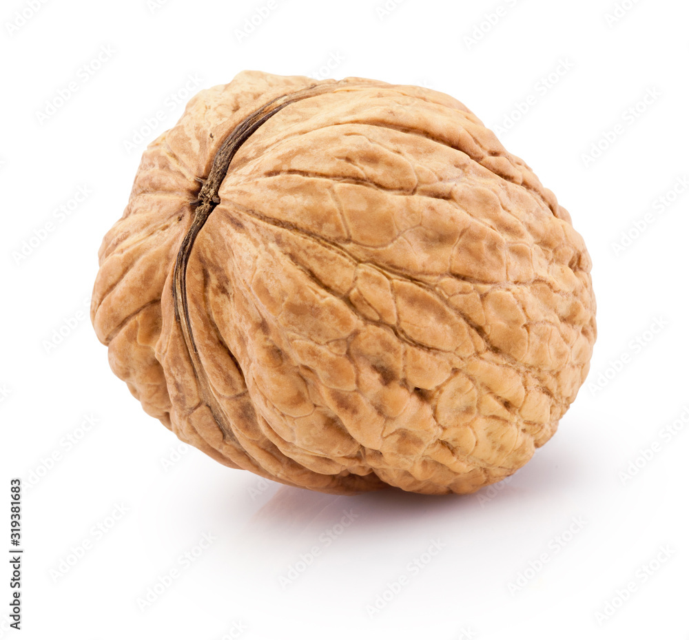 Whole walnut isolated on white background. Whole walnut isolated on white background.