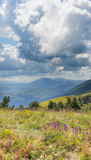 panorama of the Caucasus mountains. The greater Caucasus mountain range, grass, blue sky, pine