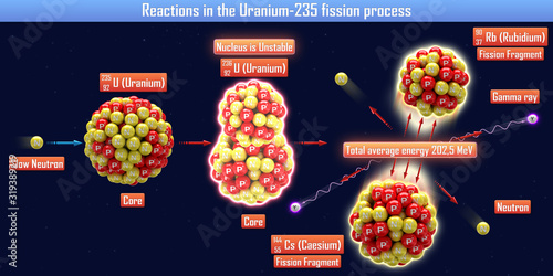 Reactions in the Uranium-235 fission process (3d illustration)