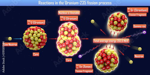 Reactions in the Uranium-235 fission process (3d illustration)