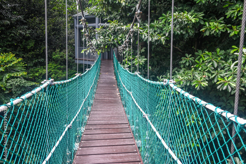 Canopy walkway in KL Forest Eco Park. Kuala Lumpur, Malaysia Canopy walkway in KL Forest Eco Park. Kuala Lumpur, Malaysia