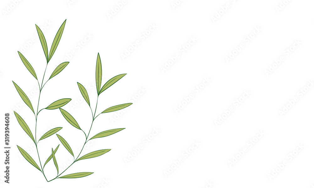 Obraz premium 植物のイラスト：見出し飾り：葉っぱ、葉脈、実なし