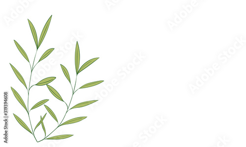 Fototapeta Naklejka Na Ścianę i Meble -  植物のイラスト：見出し飾り：葉っぱ、葉脈、実なし