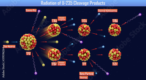 Radiation of U-235 Cleavage Products (3d illustration)