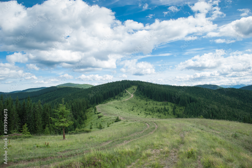Summer landscape in the Carpathians. Ukraine