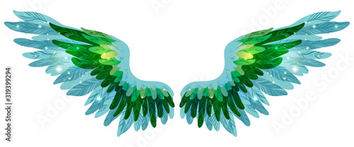 Beautiful magic shining glittery green blue wings, no lines vector
