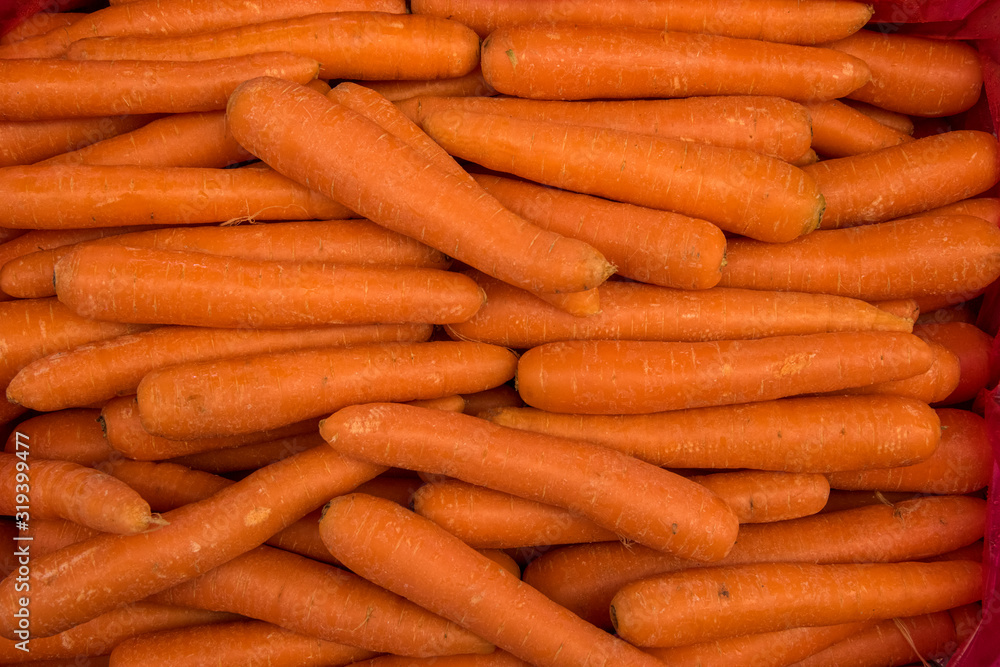 bunch of fresh carrots in the market bunch of fresh carrots in the market