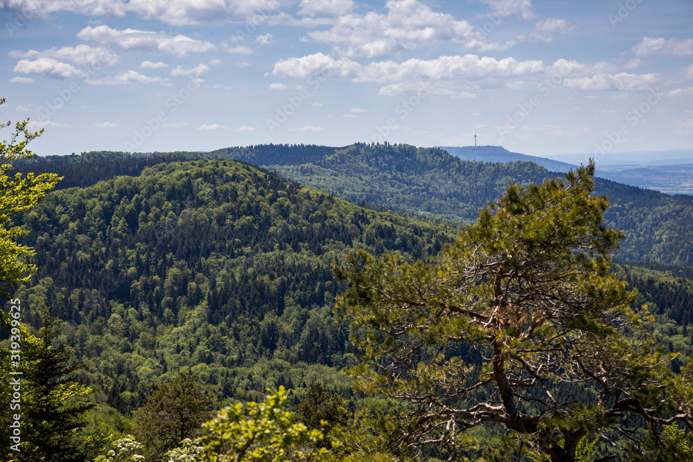 Fototapeta premium Albtrauf - Schwäbische Alb im Spätsommer
