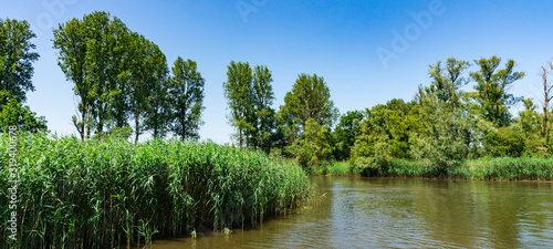 river Amer. National park Hollandse Biesbosch. Drimmelen. The Netherlands photo