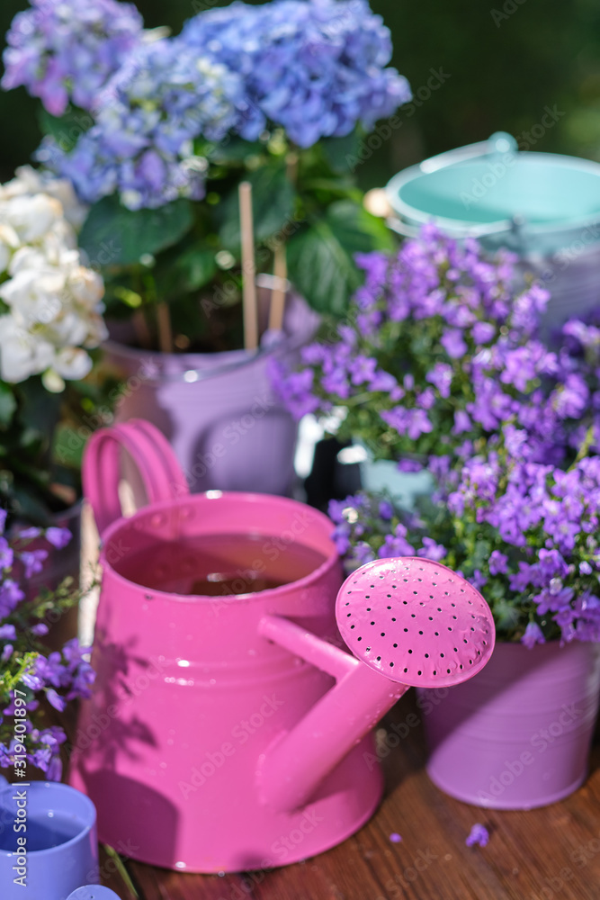 Gardening - Set Of Tools For Gardener And Flowerpots In Sunny Garden Gardening - Set Of Tools For Gardener And Flowerpots In Sunny Garden