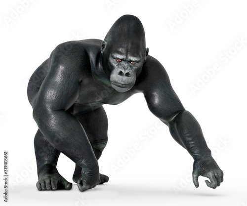 Gehender Gorilla © Michael Rosskothen