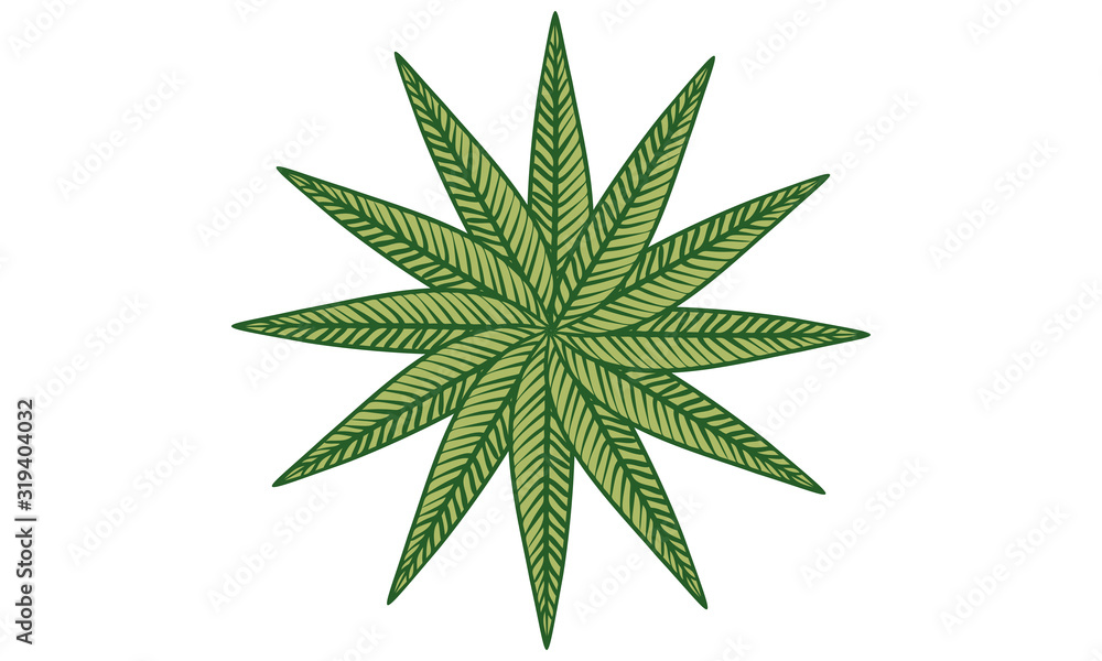 植物のイラスト:葉っぱ、葉脈、原始的なイメージ 植物のイラスト:葉っぱ、葉脈、原始的なイメージ